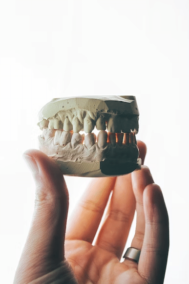 a hand of a person holding a teeth  replica
