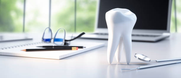 model of a tooth on a table with some dental tools